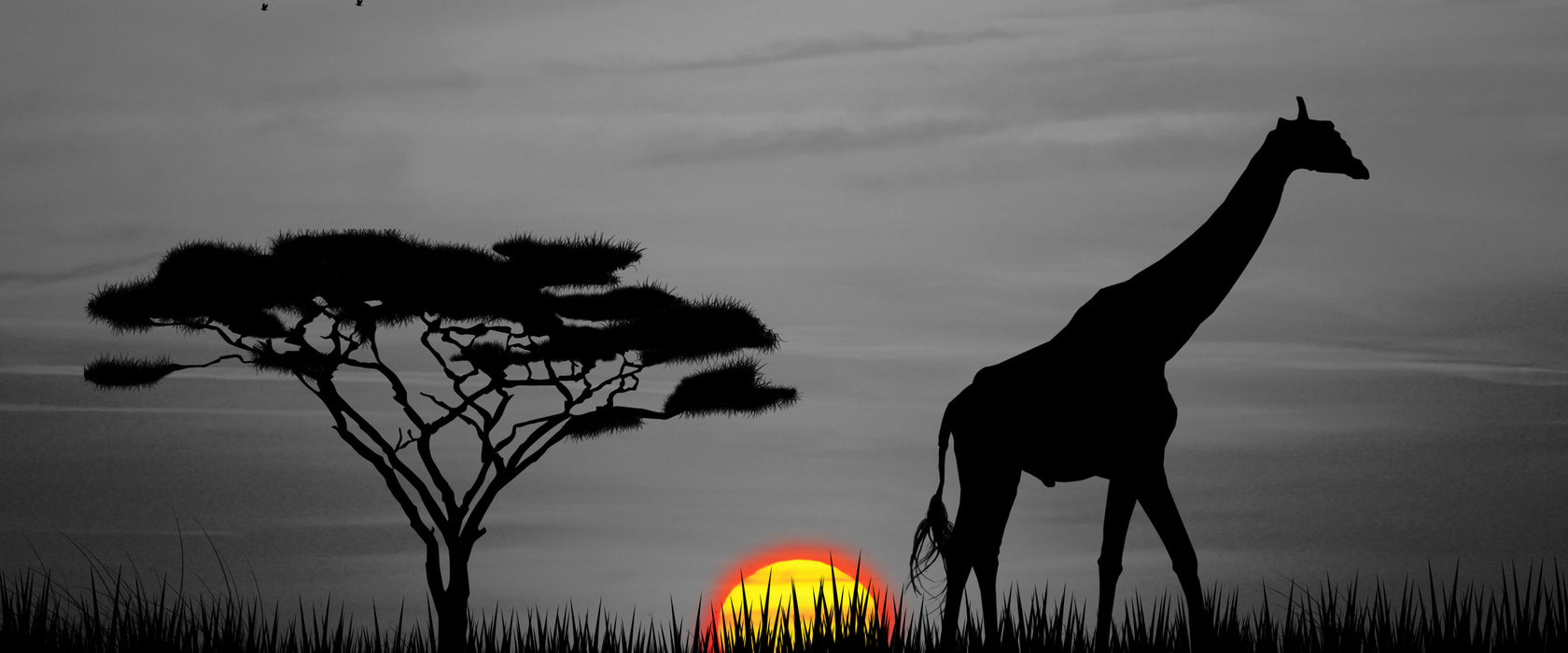 Giraffe im Sonnenuntergang, Glasbild Panorama