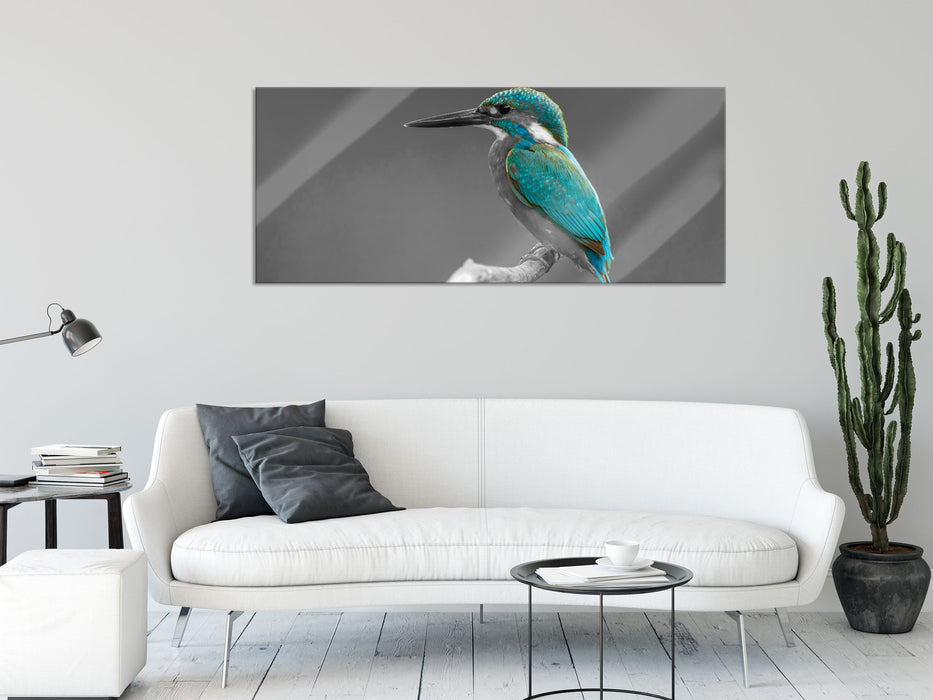 wunderschöner Eisvogel auf Ast, Glasbild Panorama