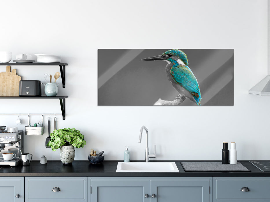 wunderschöner Eisvogel auf Ast, Glasbild Panorama