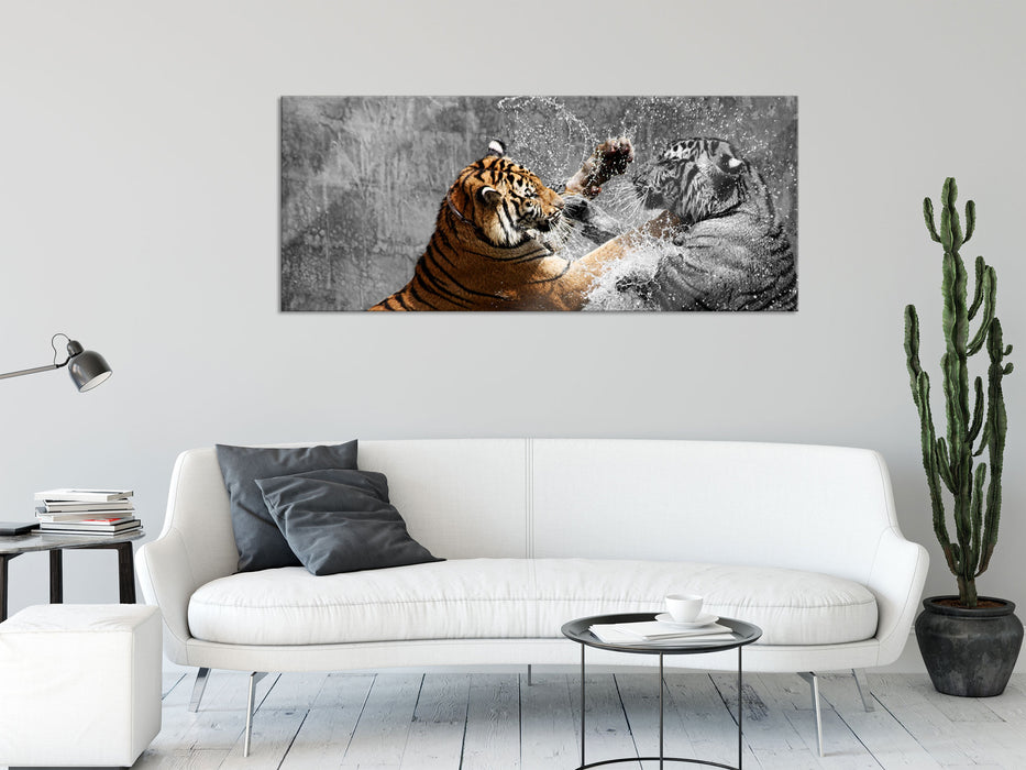 prachtvolle Tiger kämpfen, Glasbild Panorama