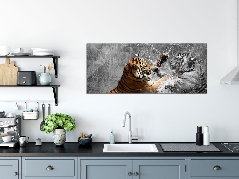 prachtvolle Tiger kämpfen, Glasbild Panorama