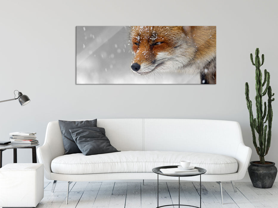 wunderschöner Fuchs im Schnee, Glasbild Panorama