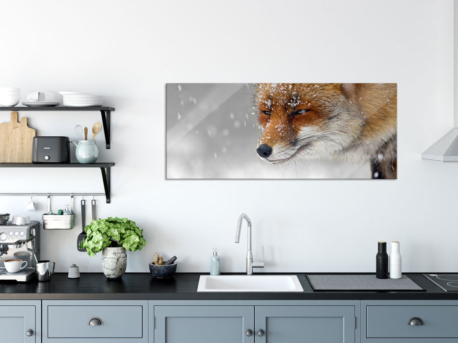 wunderschöner Fuchs im Schnee, Glasbild Panorama