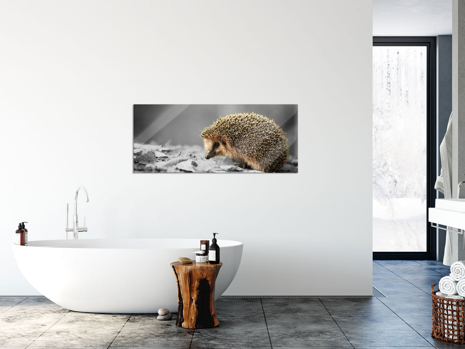 kleiner süßer Igel im Laub, Glasbild Panorama