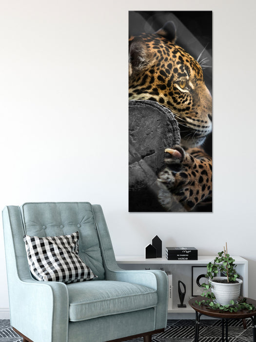 prächtiger Leopard auf Stamm, Glasbild Panorama