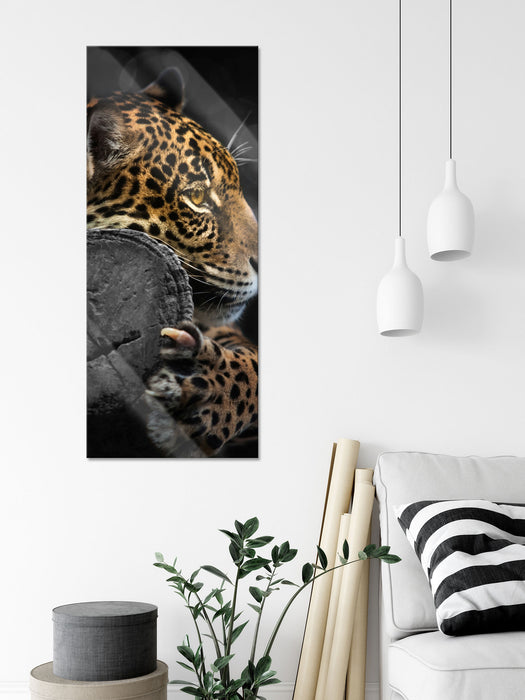 prächtiger Leopard auf Stamm, Glasbild Panorama