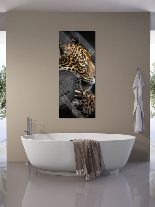 prächtiger Leopard auf Stamm, Glasbild Panorama