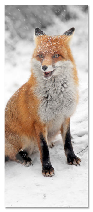 Pixxprint angespannter Fuchs im Schnee, Glasbild Panorama