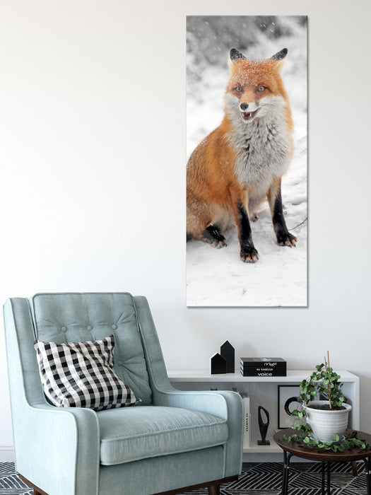 angespannter Fuchs im Schnee, Glasbild Panorama