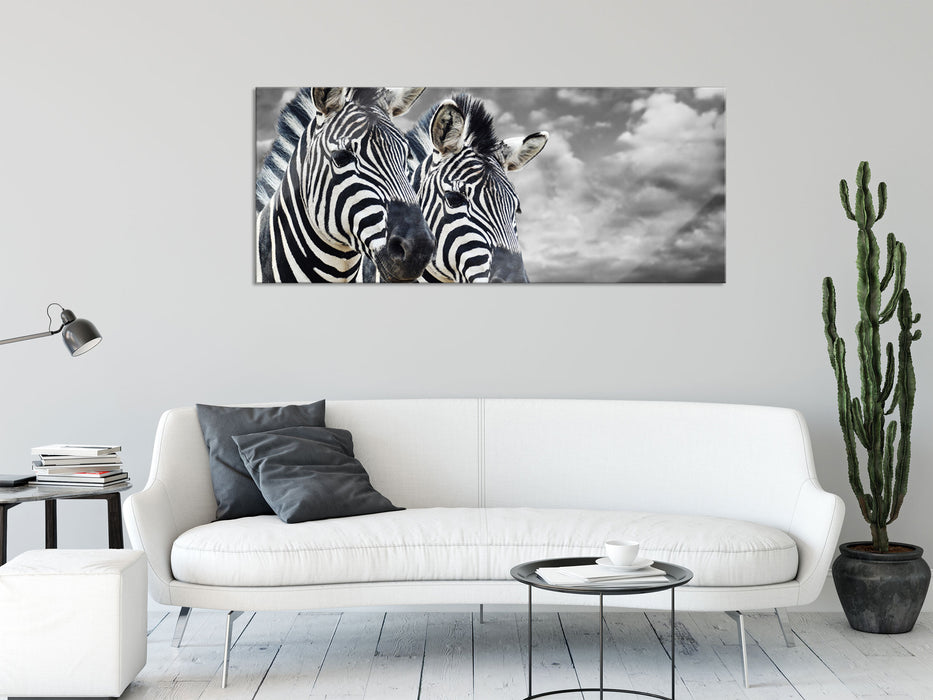 zwei Zebras, Glasbild Panorama