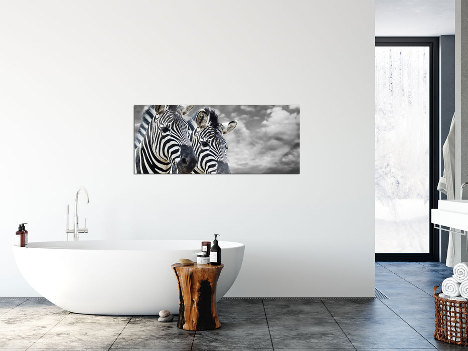zwei Zebras, Glasbild Panorama