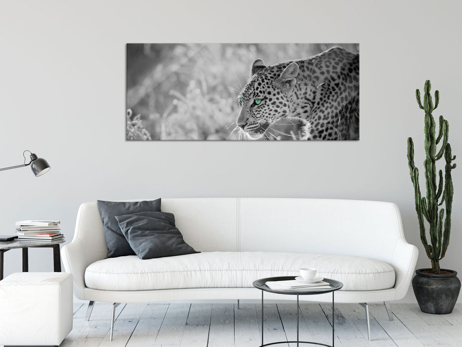 schleichender Leopard, Glasbild Panorama