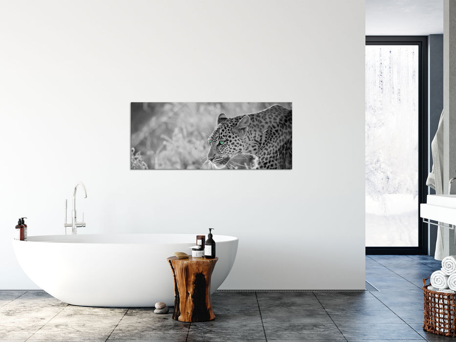 schleichender Leopard, Glasbild Panorama