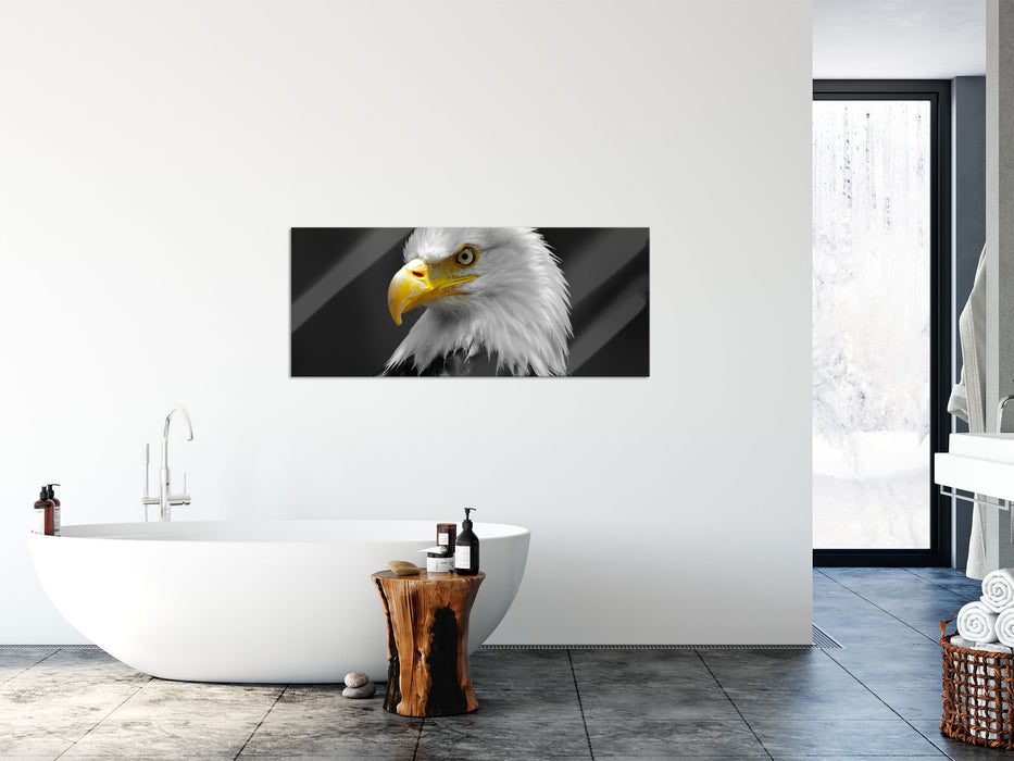 eindrucksvoller Weißkopfseeadler, Glasbild Panorama