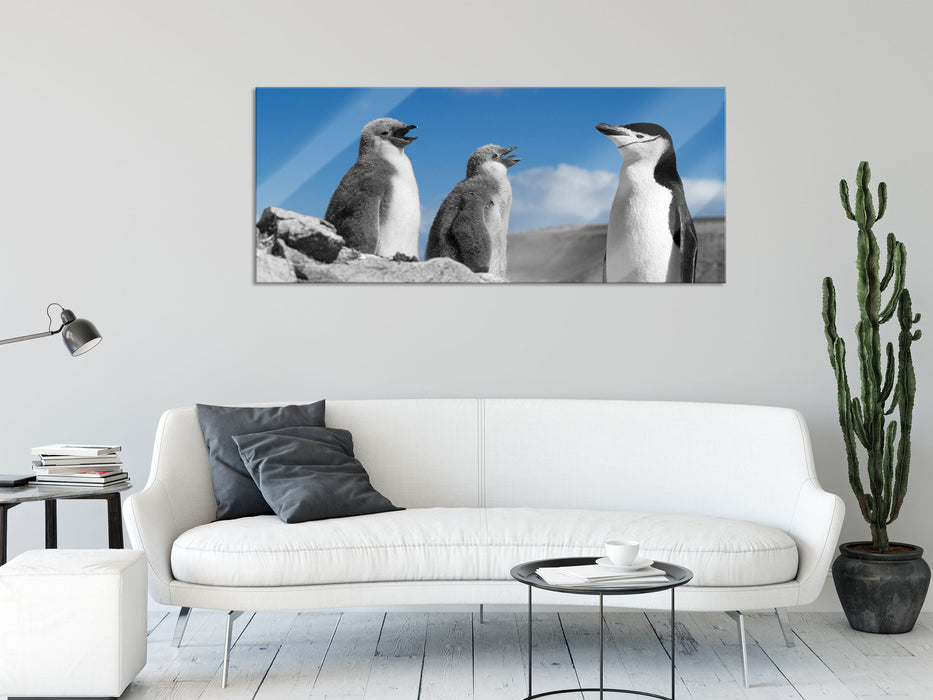 süße Pinguine, Glasbild Panorama