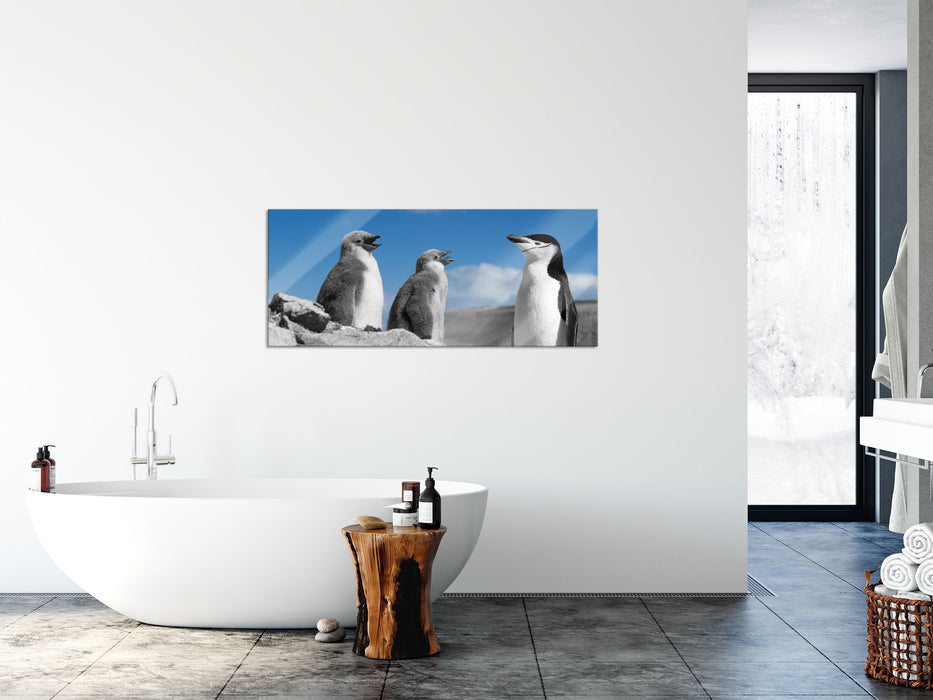 süße Pinguine, Glasbild Panorama