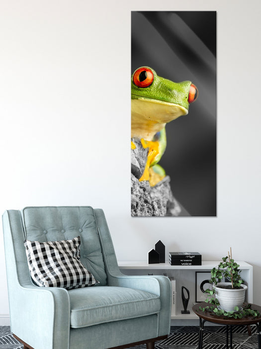 schöner Rotaugen Frosch, Glasbild Panorama