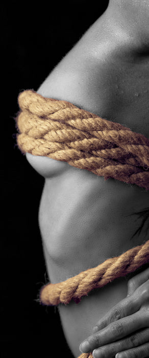 Gefesselte Dame, Glasbild Panorama