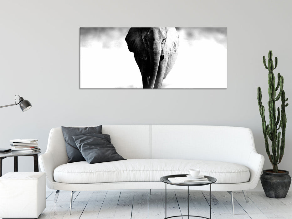 Elefant im Alleingang, Glasbild Panorama