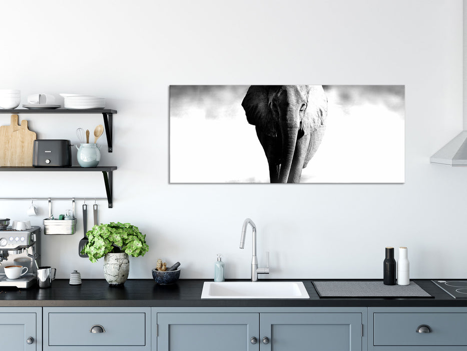 Elefant im Alleingang, Glasbild Panorama