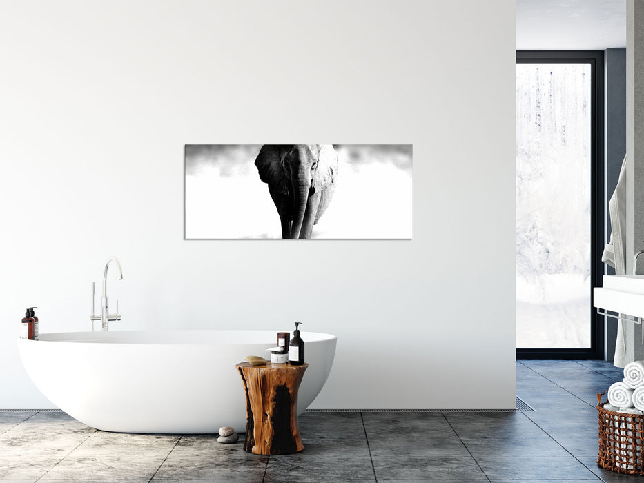 Elefant im Alleingang, Glasbild Panorama
