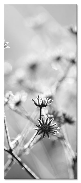 Pixxprint Gefrorene Blumen, Glasbild Panorama