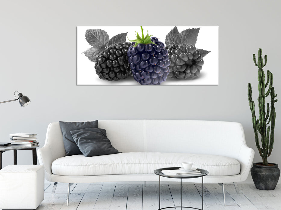 Große Brombeeren, Glasbild Panorama