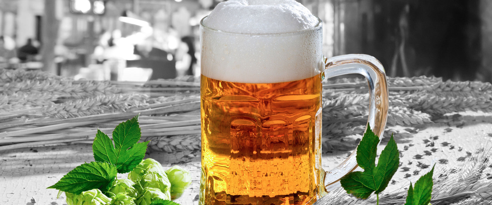 Frisches Bier mit Schaumkrone, Glasbild Panorama