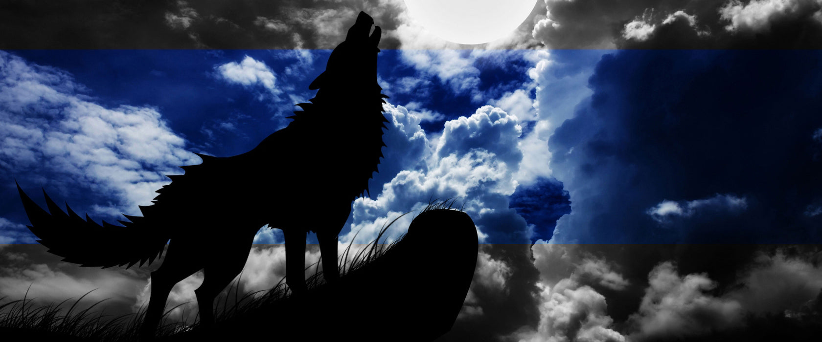 Wolf Silhouette im Vollmond, Glasbild Panorama