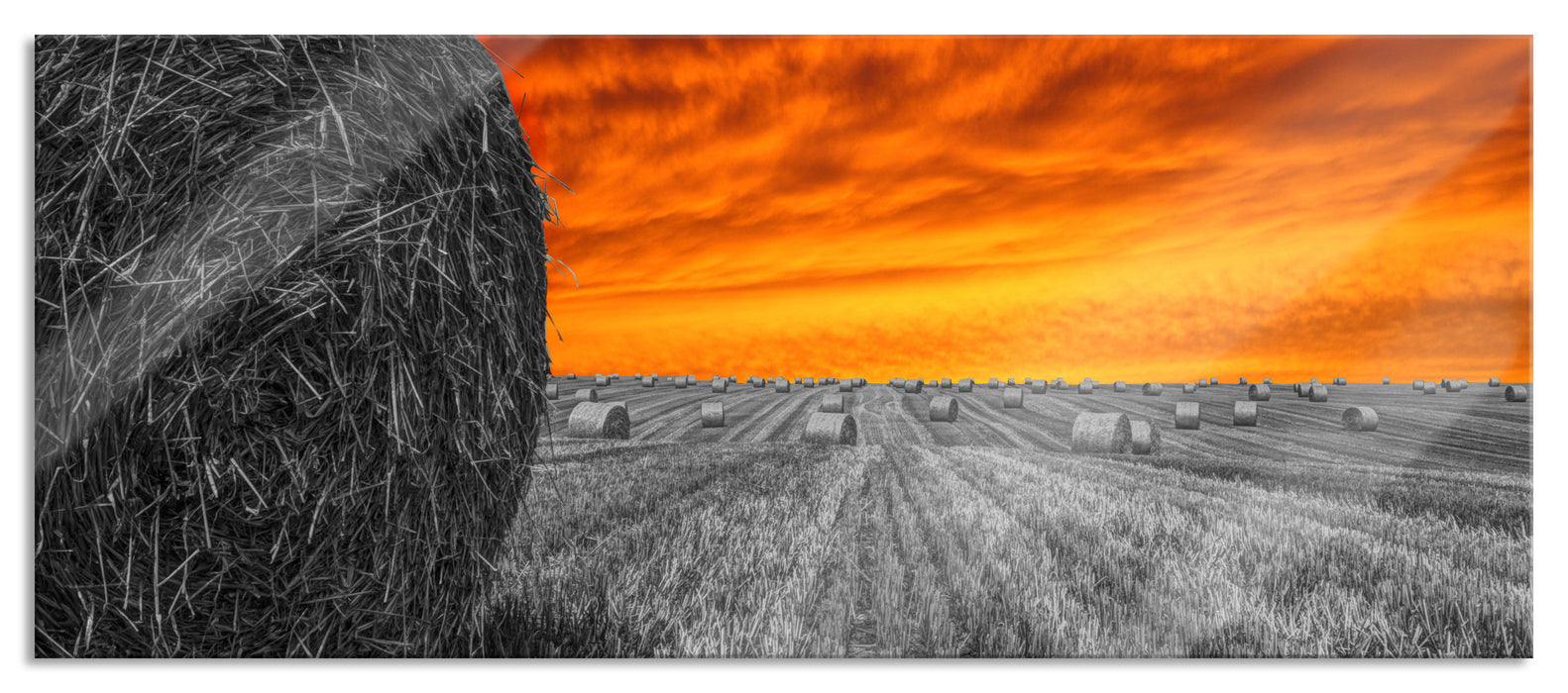 Pixxprint Sonnenuntergang Feldlandschaft, Glasbild Panorama