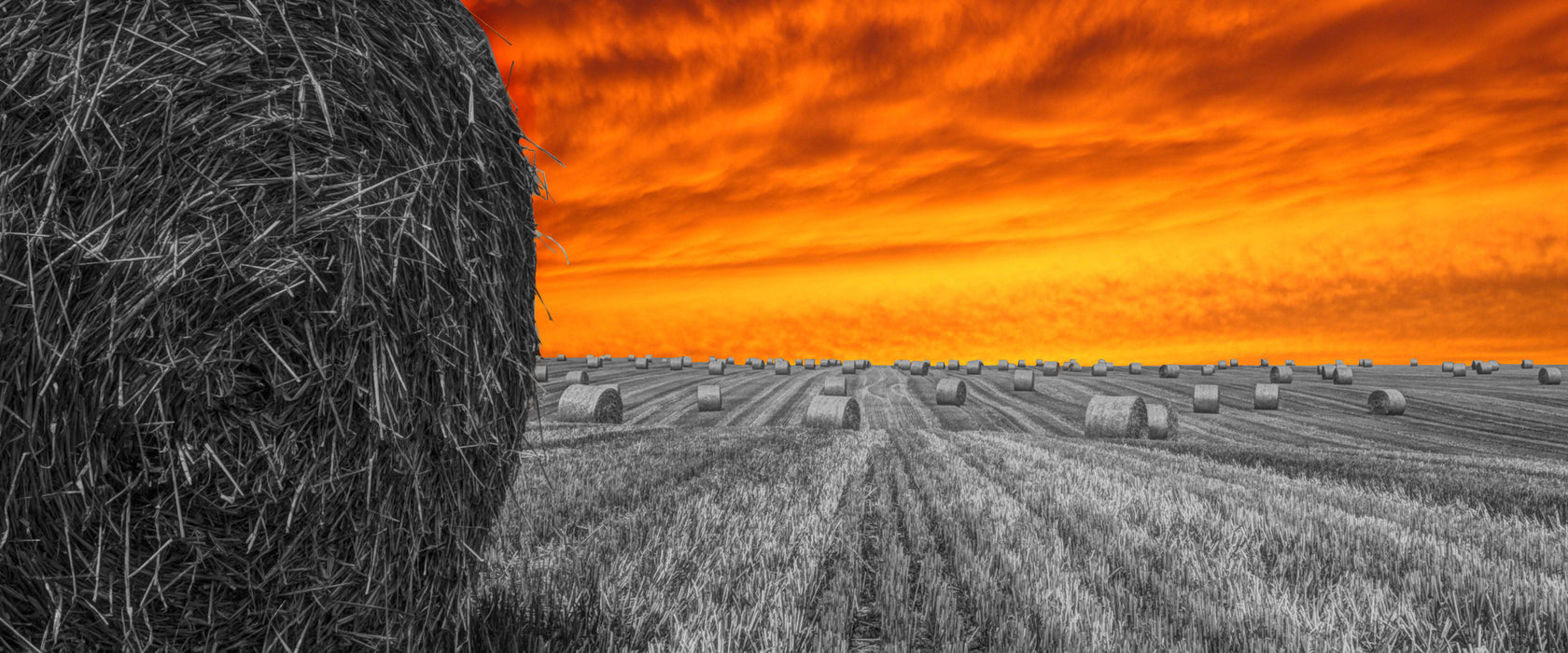 Sonnenuntergang Feldlandschaft, Glasbild Panorama