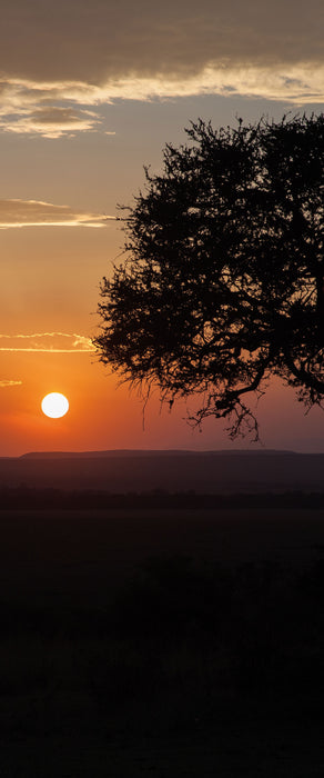 Sonnenaufgang über der Savanne, Glasbild Panorama