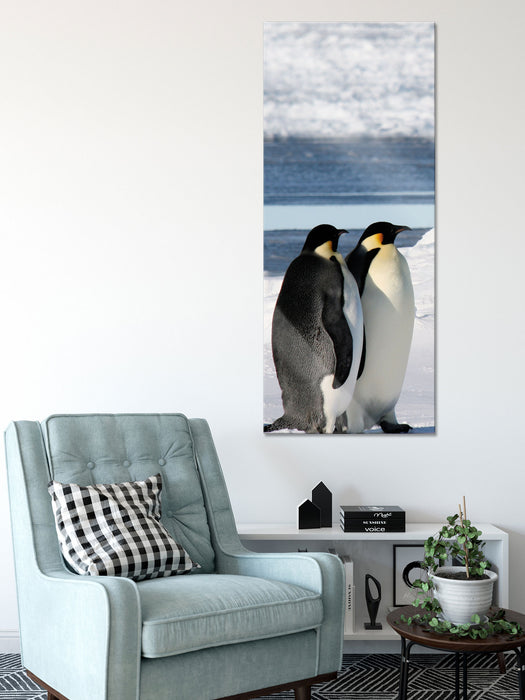 Kaiserpinguine, Glasbild Panorama