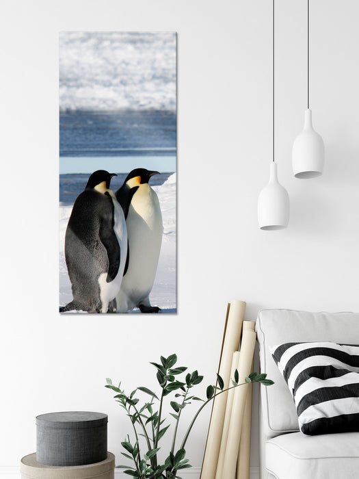 Kaiserpinguine, Glasbild Panorama