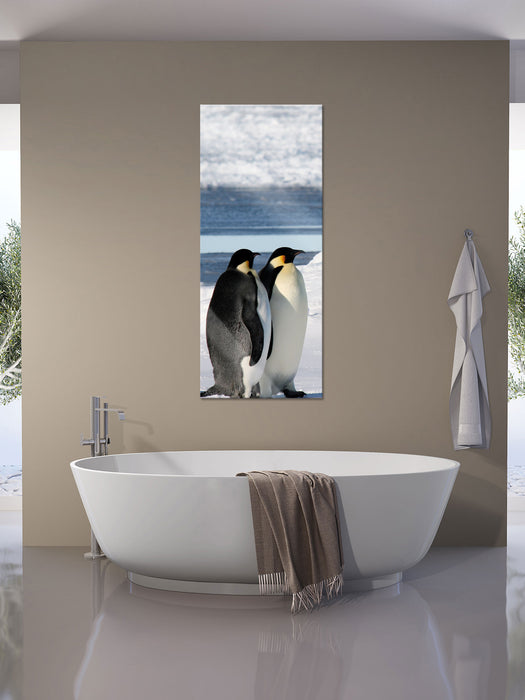 Kaiserpinguine, Glasbild Panorama