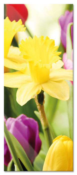 Pixxprint Osterglocken und Tulpen, Glasbild Panorama