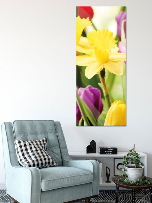 Osterglocken und Tulpen, Glasbild Panorama