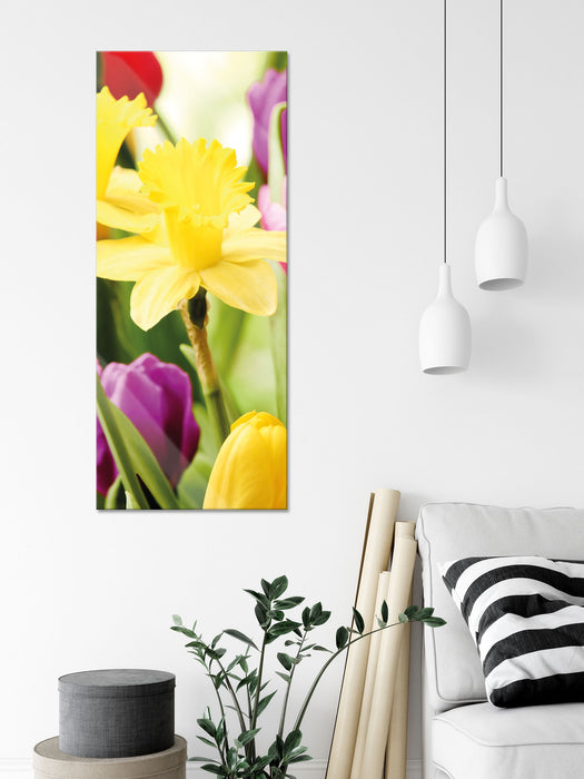 Osterglocken und Tulpen, Glasbild Panorama