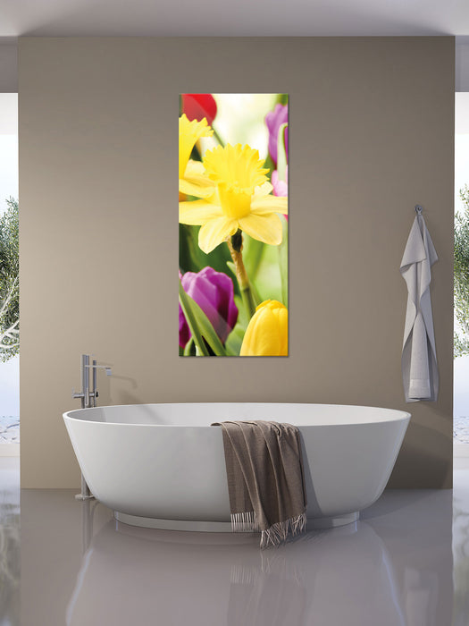 Osterglocken und Tulpen, Glasbild Panorama