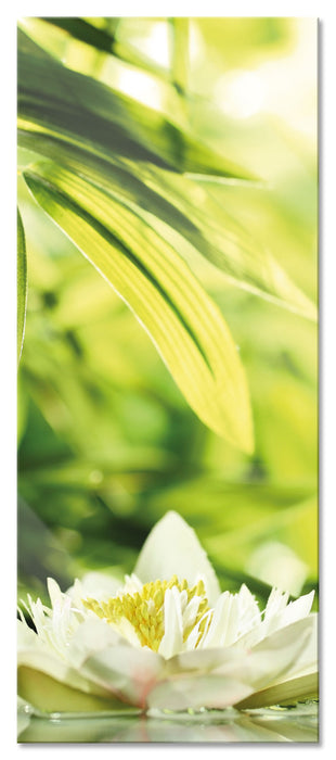 Pixxprint Weiße Seerose im Wasser Wellness, Glasbild Panorama