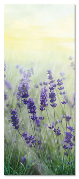 Pixxprint Schöner Lavendel im Regen, Glasbild Panorama