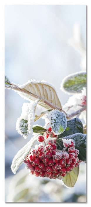 Pixxprint Vogelbeeren im Winter, Glasbild Panorama