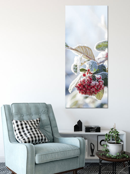 Vogelbeeren im Winter, Glasbild Panorama