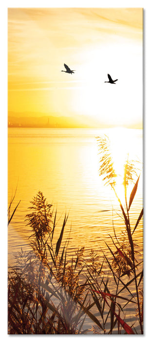 Pixxprint Sonnenuntergang am See, Glasbild Panorama