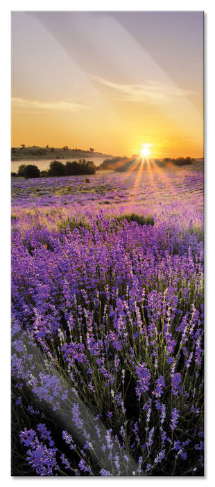 Pixxprint Lavendelfeld in Frankreich, Glasbild Panorama