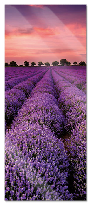 Pixxprint Wunderschöne Lavendel Provence, Glasbild Panorama