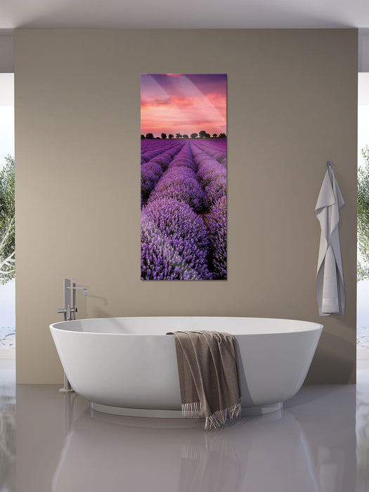 Wunderschöne Lavendel Provence, Glasbild Panorama