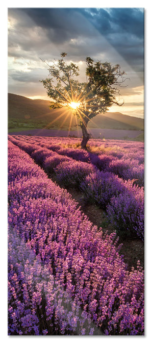 Pixxprint Lavendel Provence mit Baum, Glasbild Panorama