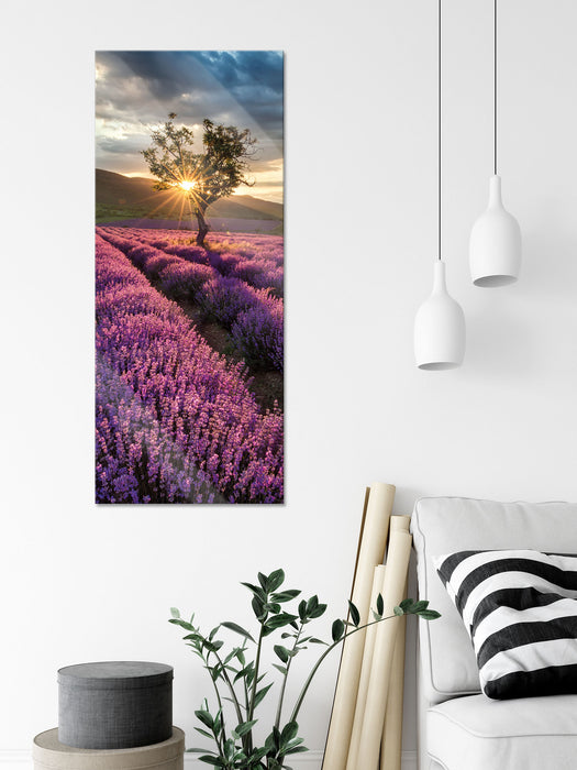 Lavendel Provence mit Baum, Glasbild Panorama