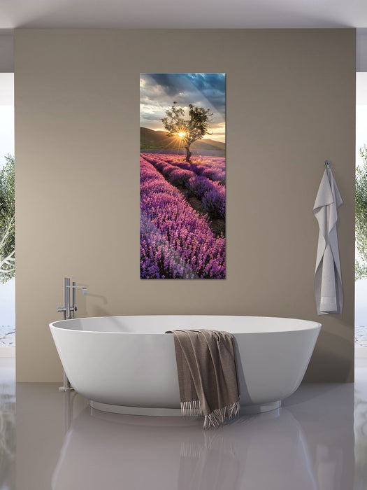 Lavendel Provence mit Baum, Glasbild Panorama
